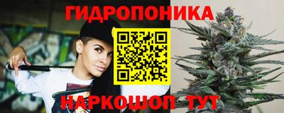 амф Гусев