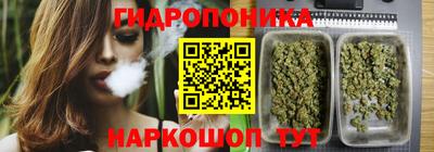 гидропоника Гусь-Хрустальный
