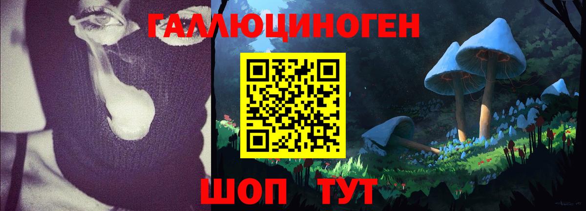 Минусинск  Псилоцибиновые грибы прущие грибы  Вход с VPN 